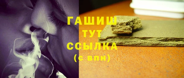 индика Кинешма