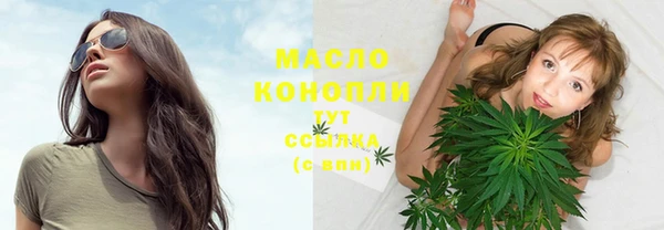 индика Кинешма