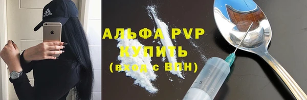 индика Кинешма