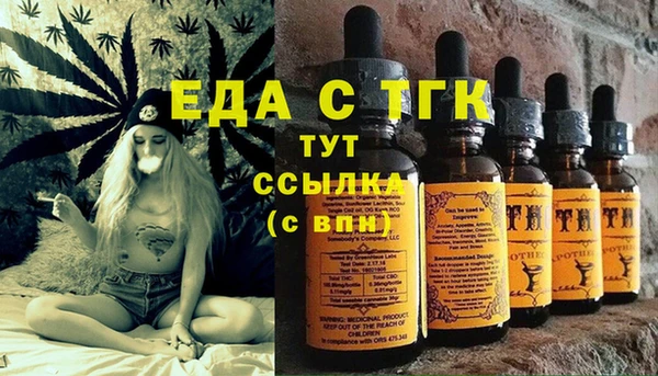 индика Кинешма