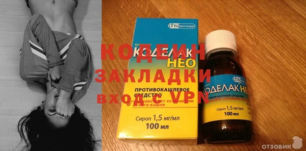 индика Кинешма