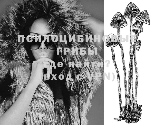 индика Кинешма
