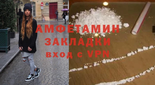 индика Кинешма