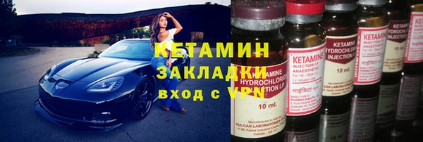 индика Кинешма