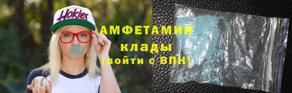 индика Кинешма