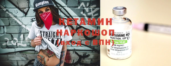 индика Кинешма