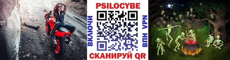 Купить закладки  Себеж  Галлюциногенные грибы мицелий 